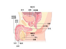 遗精