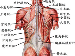 腰肌劳损