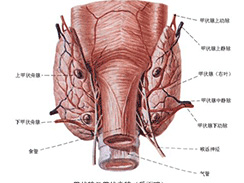 甲状腺炎