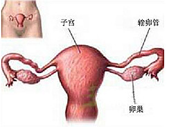 闭经图集