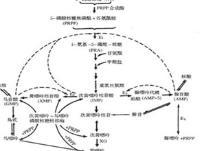 高尿酸血症