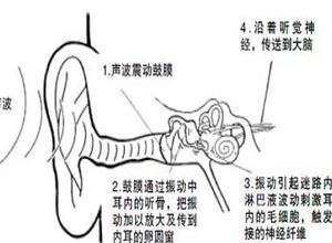 功能性震颤