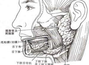 颌下腺疼痛、压痛