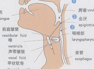 喉咙冒黏液