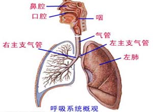 呼吸急促