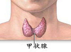 甲状腺功能低下