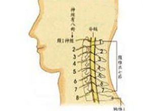 肩部或肩胛区持续钝痛和深部钻刺样不适感