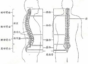 肩胛带和上肢疼痛