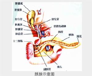 脐周围褪色