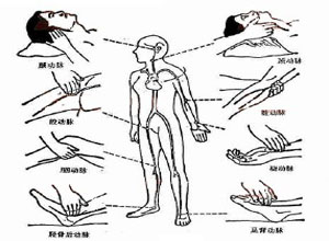 脉搏细弱甚至不能清楚触及