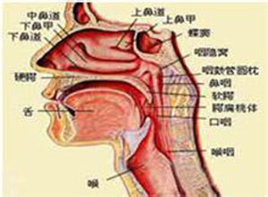 煤尘或胆固醇结晶的黏痰