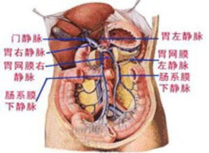 门静脉血流郁滞