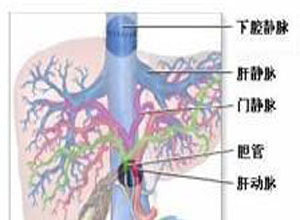 门脉高压