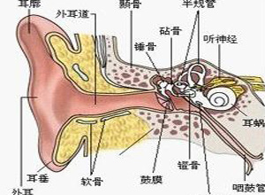 搏动性耳鸣