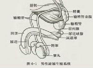 尿流缓慢