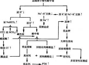 尿偏碱