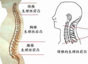 不良睡眠卫生