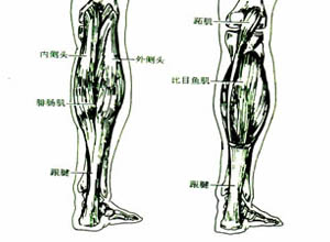 腓肠肌痉挛