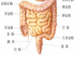 排气障碍