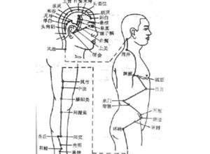 脾胃不和