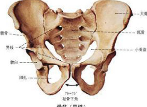 髂骨角增大