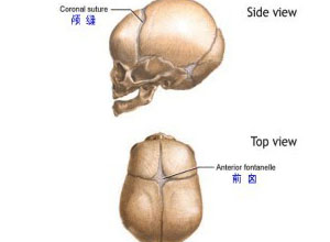 前囟饱满