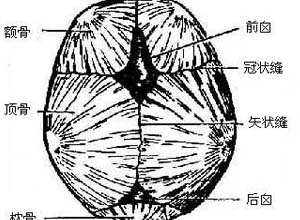 小儿前囟凹陷