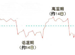 三峰热型