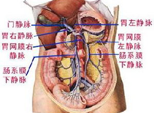 肠系膜囊肿