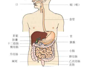 脘痞