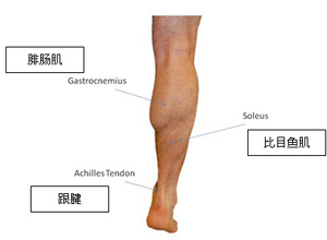 行走时发生腓肠肌麻木