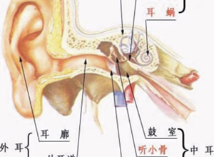 血性耳分泌物
