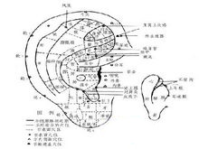 阴阳气血失衡