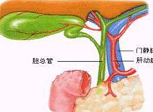 胆道运动功能障碍