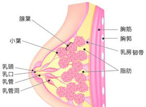 胀痛