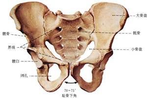 中骨盆狭窄