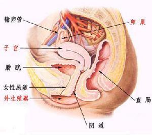 月经推迟